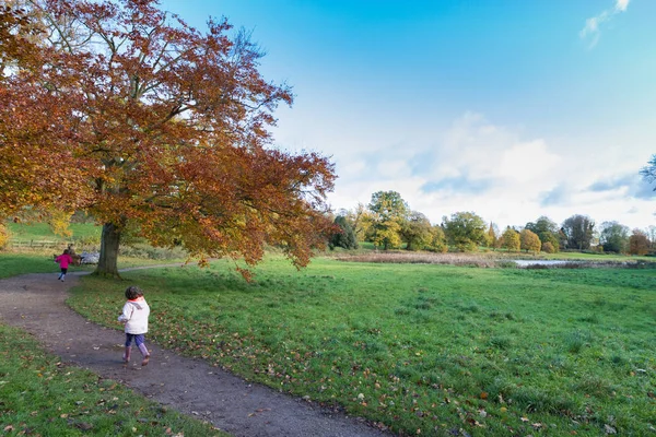 Abbey Kenilworth alanları