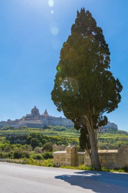 Mdina L-Imdina skyline