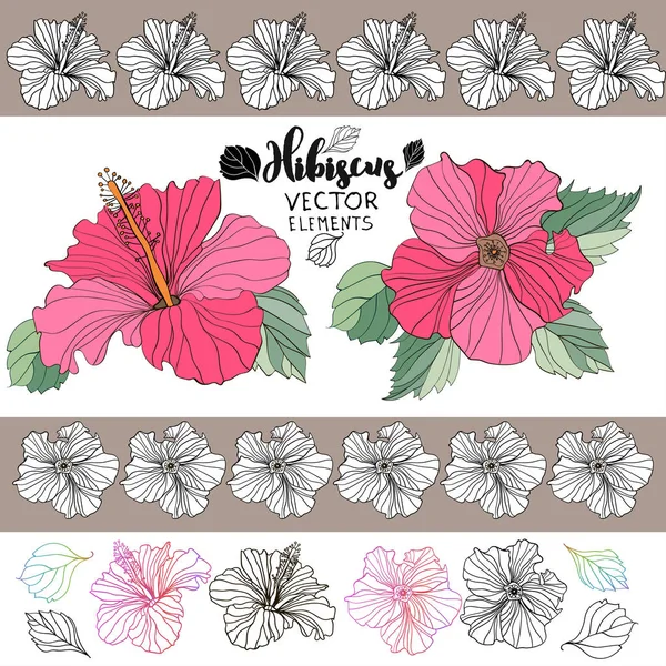 Vector elegantes flores decorativas de hibisco — Archivo Imágenes Vectoriales