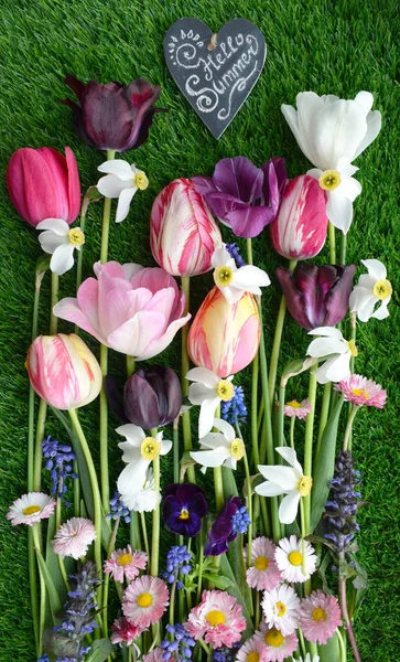 Parlak bahar çiçekleri