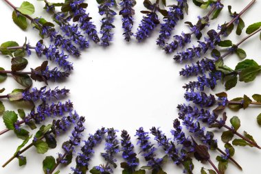 Parlak bahar ve yaz çiçek