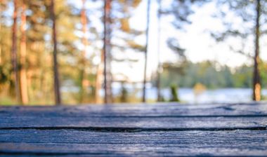 Sonbahar arka plan. Ürün görüntüleme için şablon düzeni.