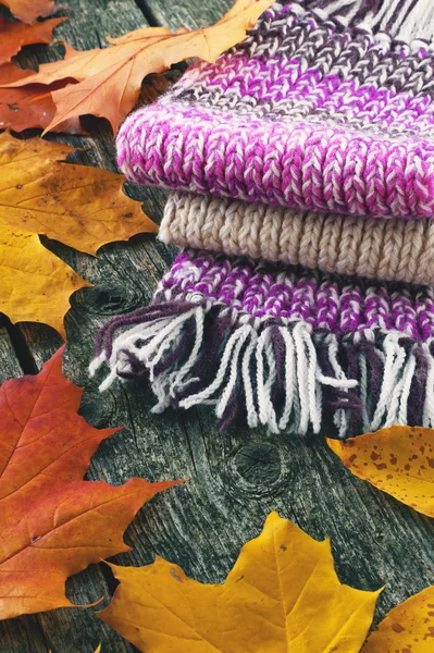 Кленовые листья и шарф — стоковое фото