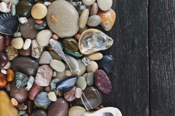 Pebble e conchas em um fundo de madeira — Fotografia de Stock