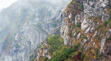 Dağ panorama sis ile