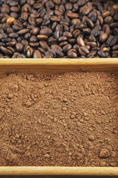 Grains of coffee, cocoa powder in a box