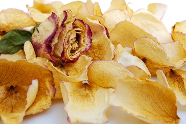 Dried rose and dried rose petals