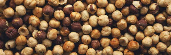 Peeled roasted hazelnut panorama.View from above. Wide.