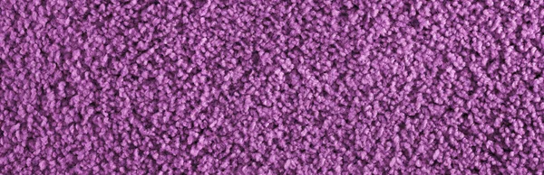 Texture of purple carpet. Panorama. View from above.