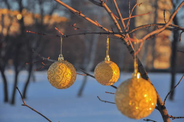 Bolas de Natal de ouro brilhante em um ramo de árvore no parque da cidade — Fotografia de Stock