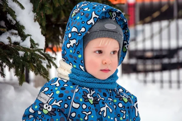 Portrait of the little boy in the winter — Stock Photo, Image