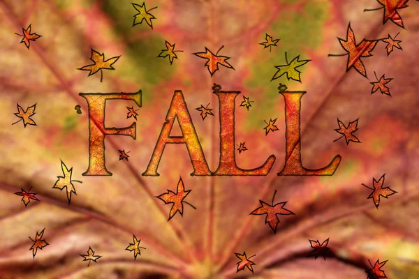 Diseño de otoño con hojas flotantes —  Fotos de Stock