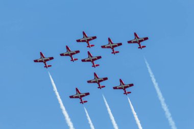 Vancouver, Kanada - 2019 dolayları: Kanada Kuvvetleri Kar Kuşları