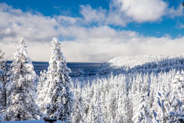 Kış orman kalın tabaka kar ve bulutlu mavi gökyüzü ile. Doğa