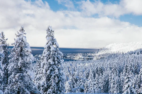 Kış orman kalın tabaka kar ve bulutlu mavi gökyüzü ile. Doğa