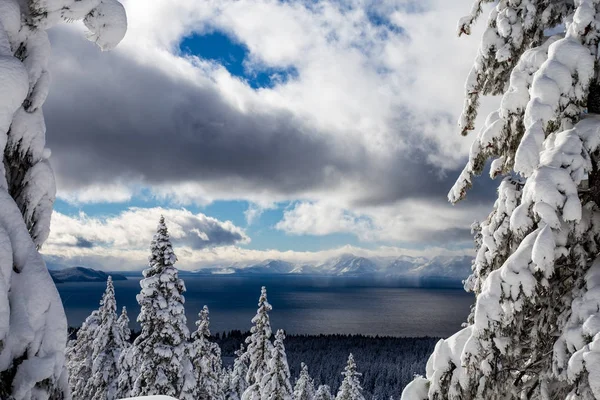 Fantastisk Vintertid Färgglada Himlen Naturen — Stockfoto