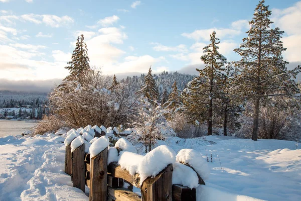 Úžasná Příroda Krajina Zimní Čas — Stock fotografie