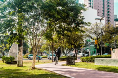 Bike Path in the Streets of Sao Paulo, Brazil (Brasil) clipart