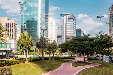 Sao Paulo, Brezilya (Brezilya, sokaklarında bisiklet yolu)