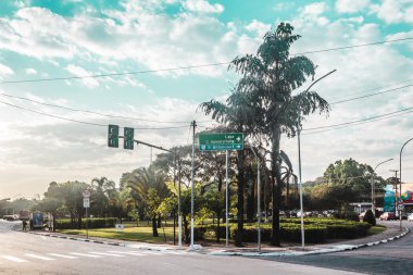 San Paulo Tropikal Ağaçlarla Dolu Brezilya Sokakları (Sao Paulo