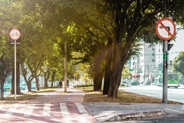 Pista ciclabile nelle strade di San Paolo, Brasile (Brasile ) — Foto Stock