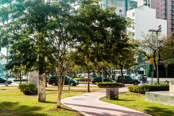 Ścieżka rowerowa na ulicach Sao Paulo, Brazylia (Brasil) — Zdjęcie stockowe