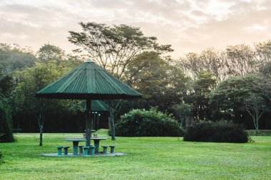 Villa-Lobos Park in San Paulo (Sao Paulo), Brazil (Brasil) clipart
