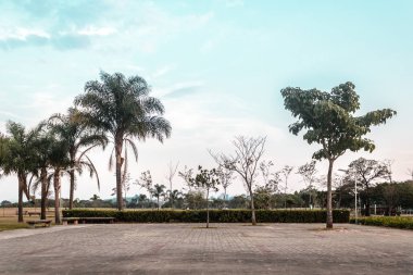 Villa-Lobos Park in San Paulo (Sao Paulo), Brazil (Brasil)