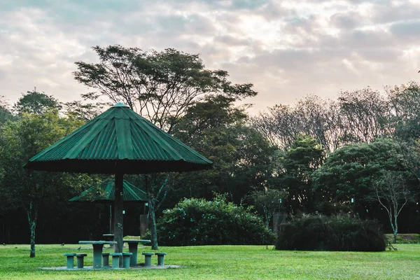 Villa-Lobos Park in San Paulo (Sao Paulo), Brazil (Brasil) — 图库照片