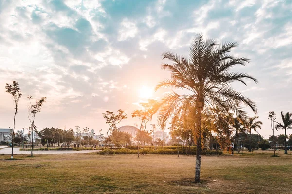 Zonsondergang op Villa-Lobos Park in San Paulo (São Paulo), Brazilië (Bra — Stockfoto