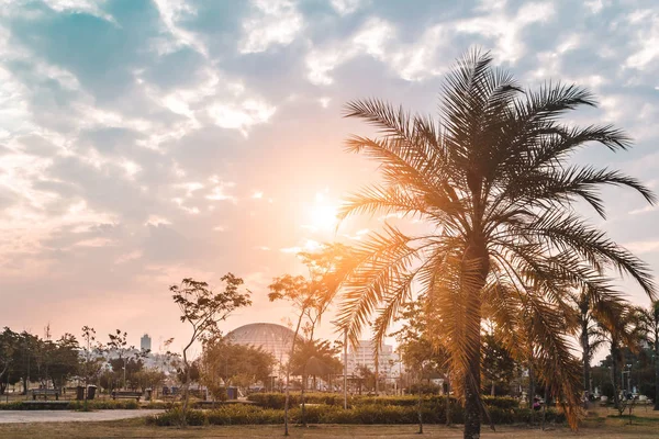 Zonsondergang op Villa-Lobos Park in San Paulo (São Paulo), Brazilië (Bra — Stockfoto