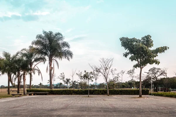 Villa-Lobos Park in San Paulo (Sao Paulo), Brazil (Brasil) — ストック写真