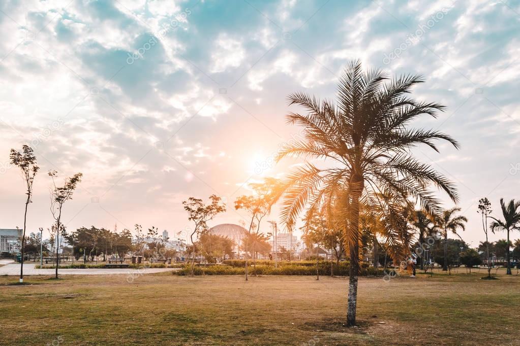 Sunset at Villa-Lobos Park in San Paulo (Sao Paulo), Brazil (Bra