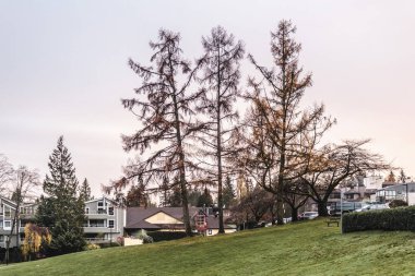 Derin koyu Kuzey Vancouver, Bc, Kanada