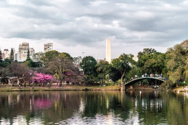 Ibirapuera Park in Sao Paulo, Brazil (Brasil)
