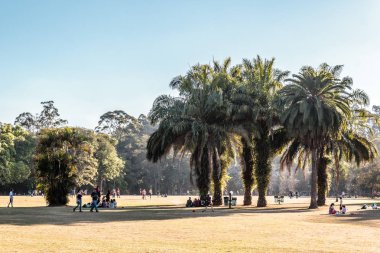 Ibirapuera Park in Sao Paulo, Brazil (Brasil)