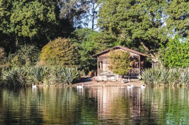 Ibirapuera Park in Sao Paulo, Brazil (Brasil)