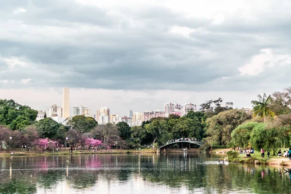 Ibirapuera Park in Sao Paulo, Brazil (Brasil) — 图库照片
