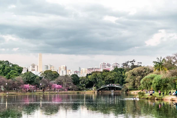 Ibirapuera Park in Sao Paulo, Brazil (Brasil)