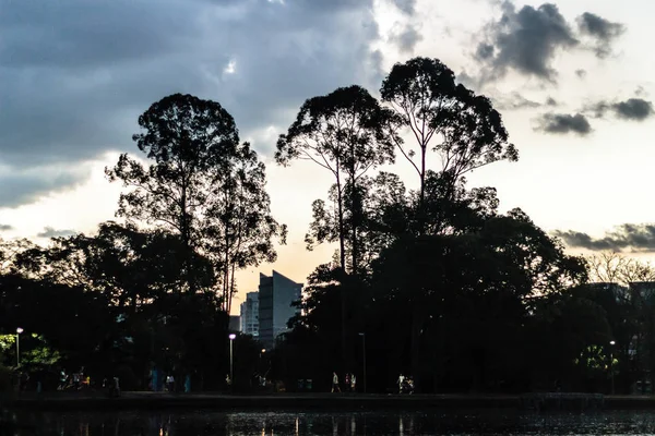 Puesta de sol en el Parque Ibirapuera en Sao Paulo, Brasil (Brasil) ) — Foto de Stock