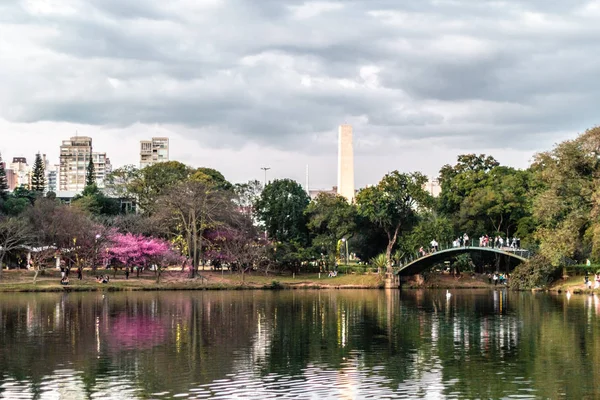 Ibirapuera Park in Sao Paulo, Brazil (Brasil) — Stock Photo, Image