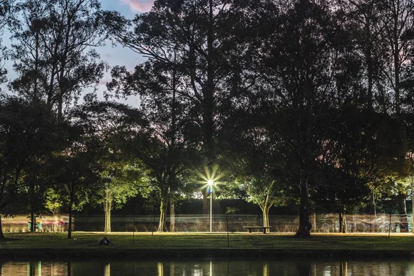 Parque Ibirapuera en Sao Paulo, Brasil (Brasil) ) — Foto de Stock