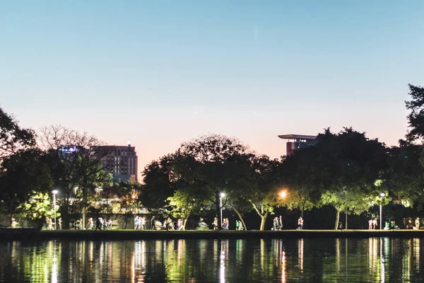 Parque Ibirapuera en Sao Paulo, Brasil (Brasil) ) — Foto de Stock