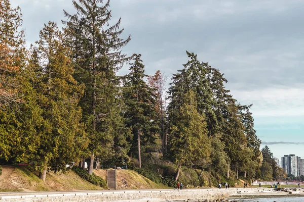 斯坦利公园和海堤在温哥华，不列颠哥伦比亚，加拿大 — 图库照片