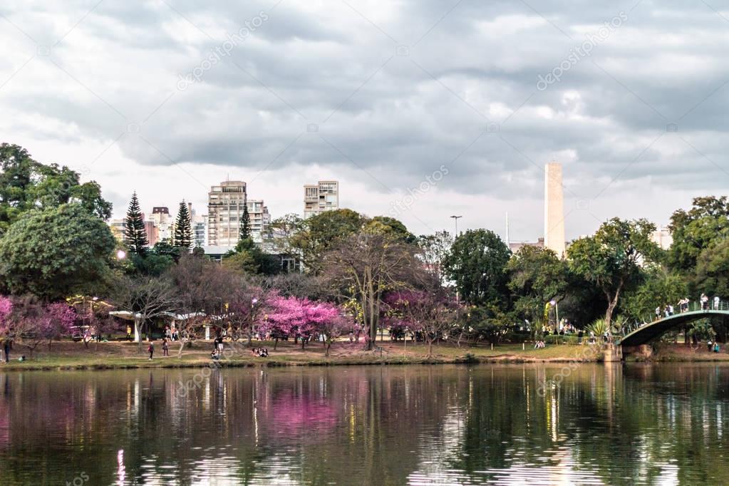 Ibirapuera Park in Sao Paulo, Brazil (Brasil)