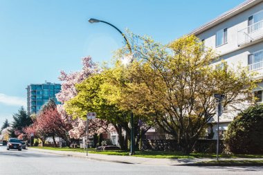 Konut sokaklarında Vancouver, Bc, Kanada