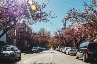 Konut sokaklarında Vancouver, Bc, Kanada