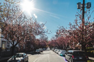 Konut sokaklarında Vancouver, Bc, Kanada