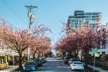 Konut sokaklarında Vancouver, Bc, Kanada