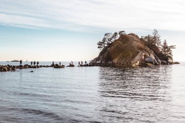 Whytecliff Park yakınındaki Horseshoe Bay West Vancouver, Bc, Kanada